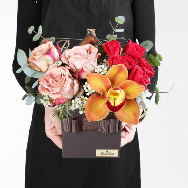 Capucino Gül, Cybidium Orkide ve Çardak Güler